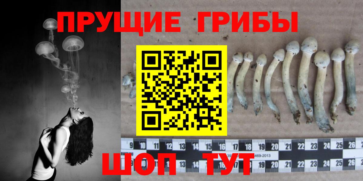 Галлюциногенные грибы Psilocybine cubensis Челябинск
