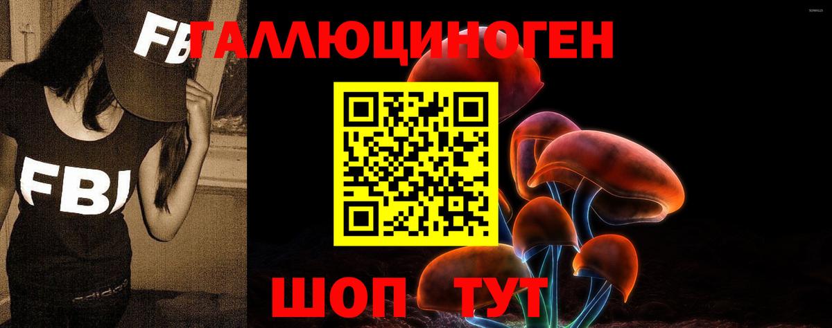 Псилоцибиновые грибы ЛСД  Вход с VPN  Челябинск  Галлюциногенные грибы Psilocybe 